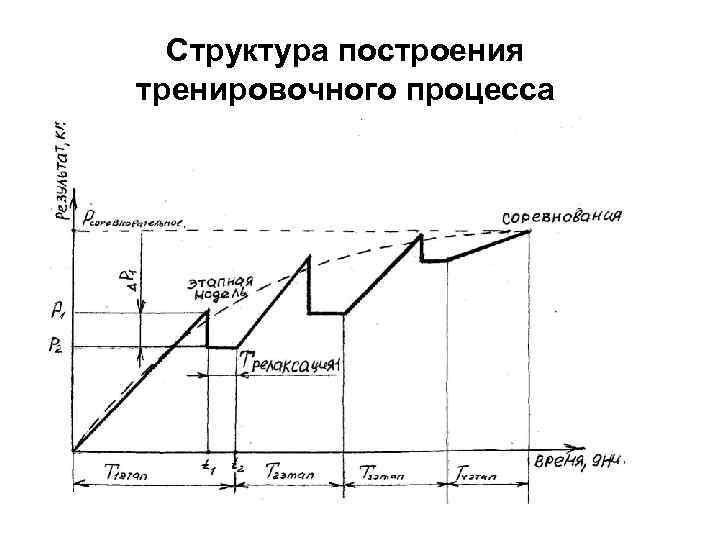 Организация и проведение тренировочного процесса. Руководство состязательной деятельностью спортсменов