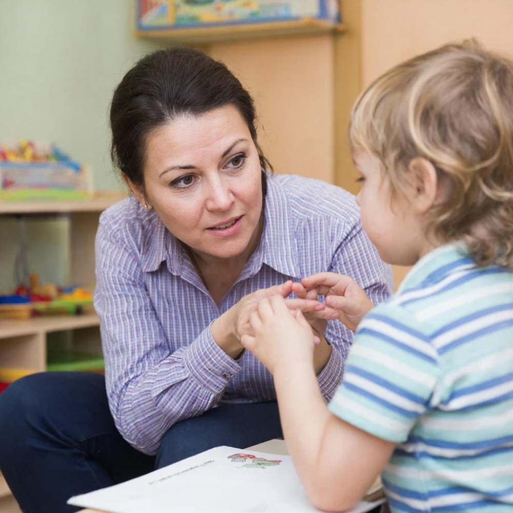 Организация образовательной деятельности для детей дошкольного возраста с ОВЗ в условиях реализации ФГОС ДО