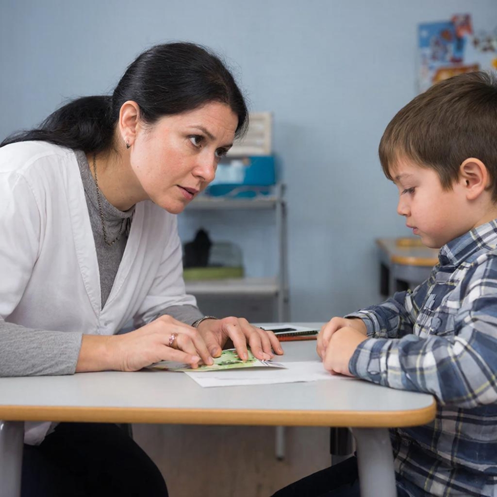 Разработка и реализация специальной индивидуальной программы развития (СИПР) ребенка с ОВЗ в соответствии с ФГОС