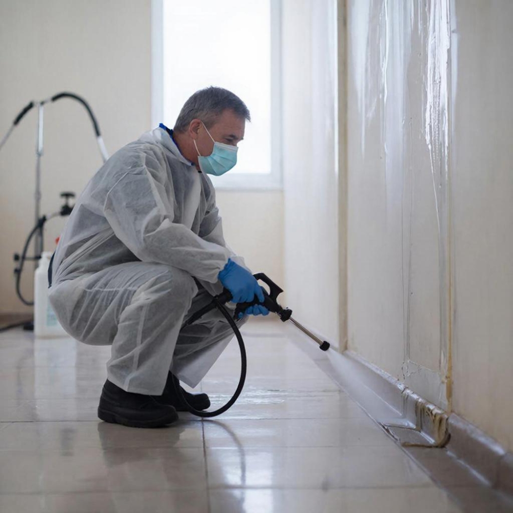 Проведение дезинфекционных работ в организациях
